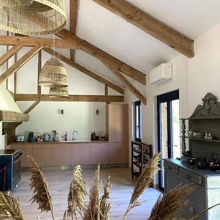Domaine Barrail - Grande Maison Landaise - 20 Lits Ferienhaus Soustons